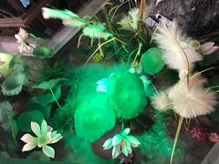 -韵秋荷(宝山龙湖天街店)