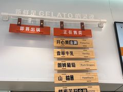 -野人先生现做冰淇淋(西安赛格店)