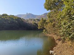 -杭州半山国家森林公园