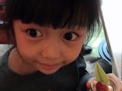 -亮马河饭店翠雅咖啡厅