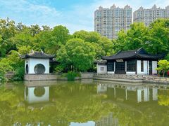 -红梅公园