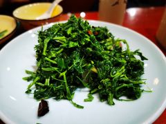 青菜蘑菇-窄巷子陕菜馆·地道陕西菜(粉巷店)