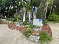 -深圳仙湖植物园