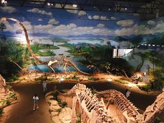 -自贡恐龙博物馆