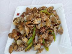 辣炒花蛤-渔民船说·北塘海鲜·天津菜·海肠捞饭(北塘古镇店)