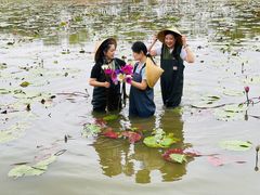 -上海长兴岛郊野公园