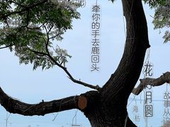 -鹿回头风景区