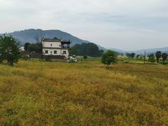 -塔川景区