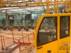 -南宫五洲植物乐园