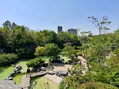 -上海吴淞炮台湾国家湿地公园