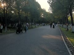 -洋湖国家湿地公园