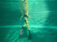 -重庆市奥林匹克体育中心-游泳跳水馆