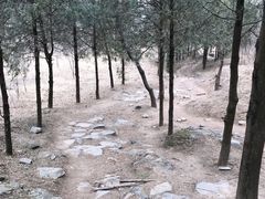 -北京鹫峰国家森林公园