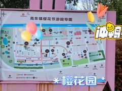 -高东镇樱花园