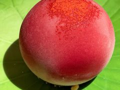 -S | PRIME1885牛排家(杭州万象城店)