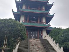 -桂湖森林公园