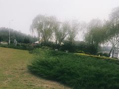 -丁香湖公园