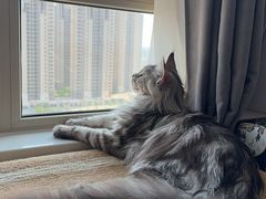 -美联众合24小时·皮肤科·外科·全科诊疗中心(华苑分院)