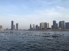 -海河外滩公园