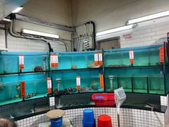 -新志兴至尊烧鹅大王