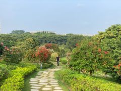 -东莞植物园
