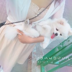 -木北护肤造型