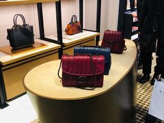 -COACH蔻驰(双安商场店)
