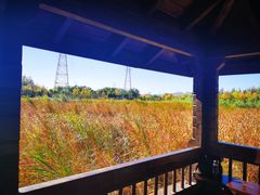 -永定河休闲森林公园