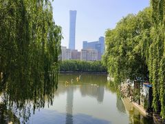 -团结湖公园