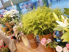 android_upload_pic-花木兰花艺MULAN(温馨花园店)