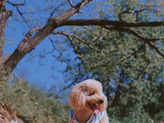 -蟠龙山长城景区