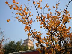 -大雁塔北广场音乐喷泉