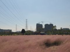 -Dreamsalad梦想轻厨(健康轻食·减脂沙拉·意面·祖庙店)