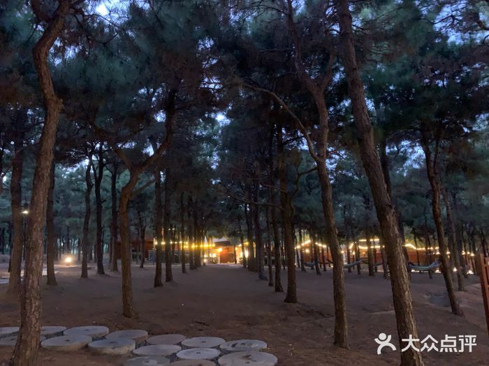 东海森林温泉图片