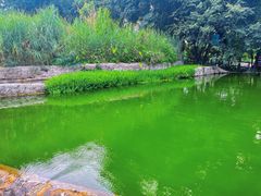 -成都市活水公园