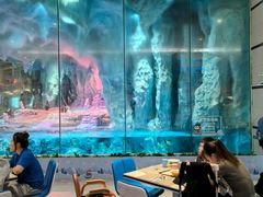 -帝企鹅自助餐厅•儿童岛•真企鹅(长隆企鹅酒店)