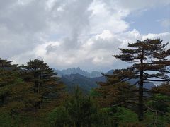 -黄山风景区