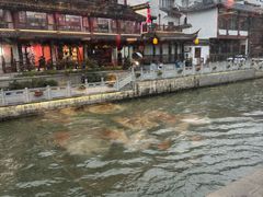 -小厨娘金榜题名(夫子庙秦淮河店)