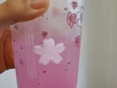 樱花气泡-肯德基(西影路店)