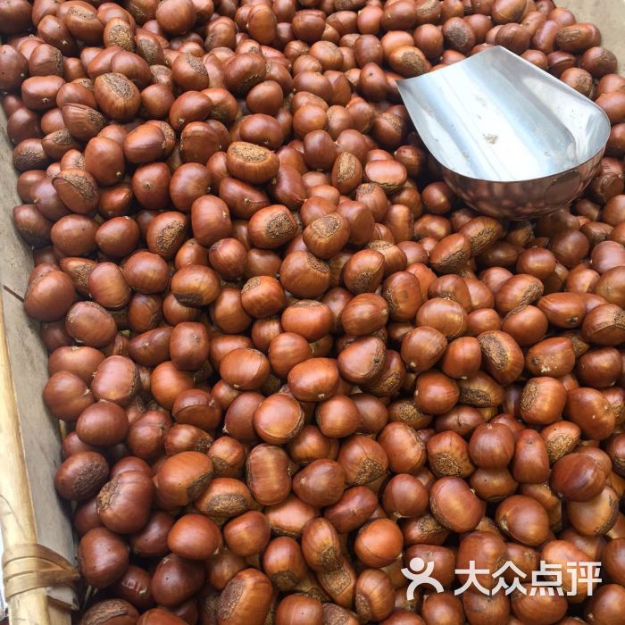 板栗