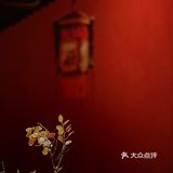高端陕菜八百里秦川 拍一组很喜欢的国风照