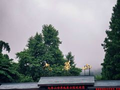 -九华山风景区
