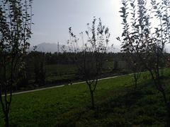 -洨河生态公园