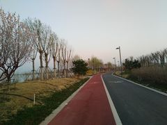 -天津东丽湖风景区