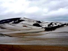 -塞罕坝国家级自然保护区