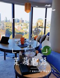 -茉莉智慧母婴护理中心(瑰丽店)