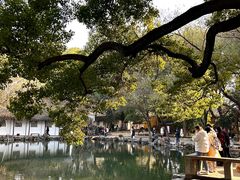 -西园戒幢律寺