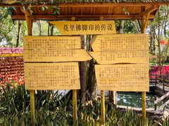 -莫里热带雨林景区