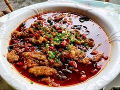 古镇泰安鱼-龙翔山庄雷鸡肉(青城后山泰安古镇店)