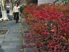 -浙江大学(玉泉校区)